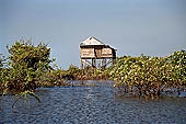 Tonle Sap - Kampong Phluk floating village - stilted houses